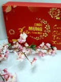 HQ002 - Giỏ quà Tết Phúc lộc 4